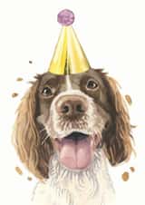 Springer Spaniel Birthday Card created by Robert James Hull