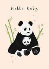 Hello Baby created by @TheGrafixCat