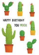 Birthday Cactus Prick created by Sophie Kent Illustration