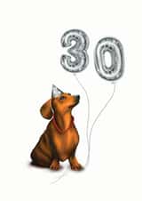Sausage dog 30th birthday card created by Hot Dog greetings