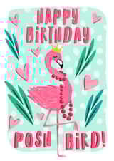 Posh Flamingo Birthday Card created by The Jaunty Cocoon