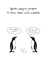 Engagement Card created by Random Animal Facts