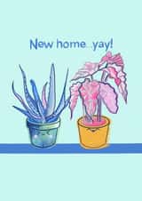 House plant card for new home created by In rainbows