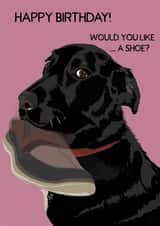 Birthday Gift from Dog created by Perkins & Morley