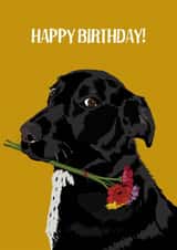 Dog with flowers birthday card created by Perkins & Morley
