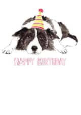 Border collie happy birthday card created by Bramble Designs