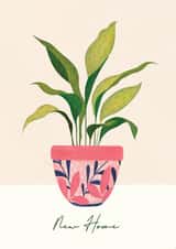 New Home Houseplant card created by Forest & Fig