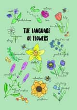 The Language of Flowers just because card created by My Holly House