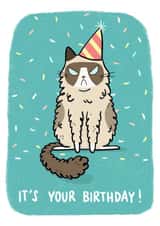 Grumpy Birthday Cat created by Camille Medina