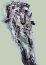 Lurcher Dog Card created by Higgledy Pets
