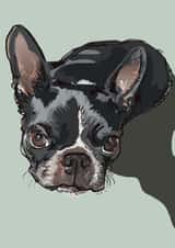 French Bulldog Just because card created by Higgledy Pets