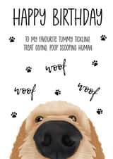 Happy Birthday Card From The Dog created by The Merry Giraffe