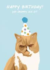 Grump Cat Birthday Card created by Amy V Packham Art