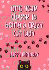 Happy Birthday Crazy Cat Lady created by Chubby Sparrow