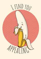 Appealing created by Daniella Illustrates 