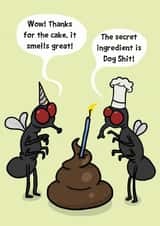 Sh*it Cake Birthday Card created by Sam Birch