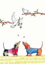 Two Dachshunds and Turtle Doves love card created by Nick Budd
