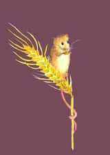 Field Mousey created by Rachel Croker