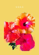 Nana created by The Twi Company