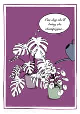 Even houseplants need champagne... created by Philippa Gumley