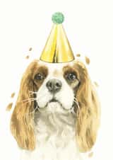 Cavalier King Charles Spaniel Birthday Card created by Robert James Hull