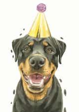 Rottweiler Birthday and Celebration Card created by Robert James Hull