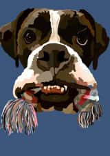 I brought you present created by Nelly Noos