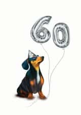Dachshund 60th birthday card created by Hot Dog greetings
