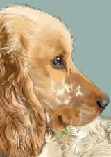 Cocker spaniel's Dream created by Higgledy Pets