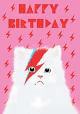David Bowie Cat Pink Birthday Card created by @ChildstarSamantha