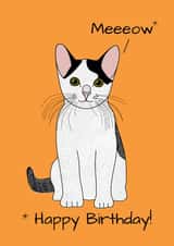 Black and white cat birthday card created by DainaCrafts