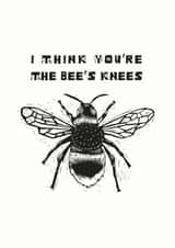 BEE'S KNEES! ALL OCCASION CARD created by hazelletters