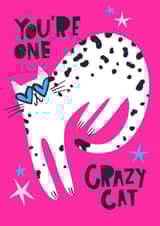 Crazy Cat card created by Lucy Maggie Designs