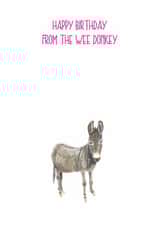 Happy Birthday from the wee donkey card created by Sarah Maddox