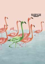 Vegan Flamingo Card created by Flockadoodle