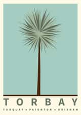 Torbay Palm 1000 created by Jennifer Zangeneh