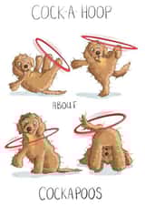 Cock-a-hoop about Cockapoos created by Leah Rowe
