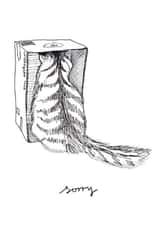 Cat in a Box Sorry Card created by @hobbbins