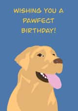 Birthday card for a dog lover. Particularly those fond of a Golden Labrador. created by Rae of Sunshine