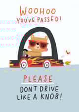 Don't drive like a knob created by Jess Moorhouse