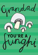 Grandad Fun Guy card created by Dottypink Designs