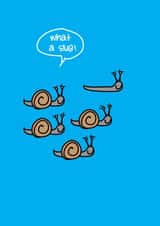 what a slug! funny birthday card created by Lucy Likes It