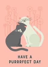 Have a perfect day cat card created by @simonwelchillustration