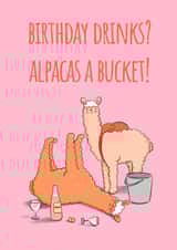 Alpaca prosecco birthday card created by Dani Verbeeten