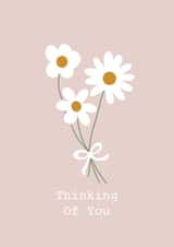 Thinking Of You Daisies created by Alfreda & Alice