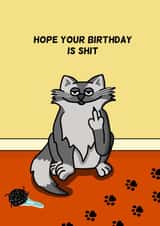 Shit Cat Birthday Card created by Cheeky Boar
