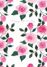 Pink Roses - Garden Roses - Happy Birthday - Watercolour Roses - Blush Pink Rose created by Paint to Paper Designs