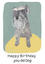 Happy Birthday pretty card created by Holly & Bud