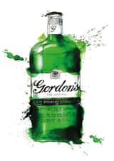 Gordons Gin created by Georgina Luck Illustration
