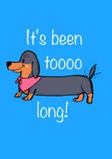 It's been toooo long! missing you/thinking of you dachshund card created by Memeow Gifts